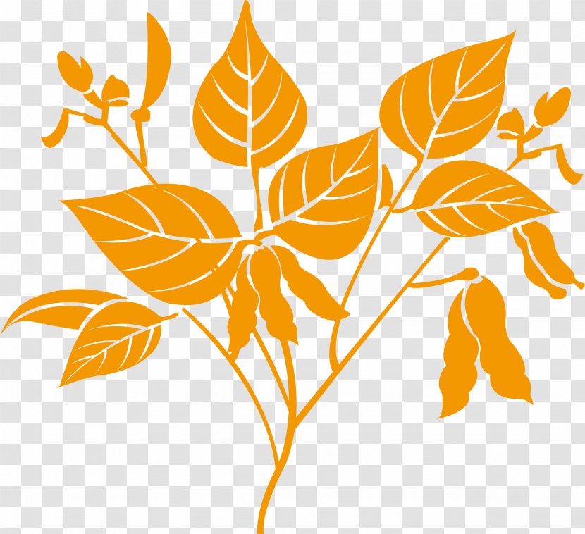 China Chinese Herbology Facial Traditional Medicine - Illustration - Foliage Plant Transparent PNG