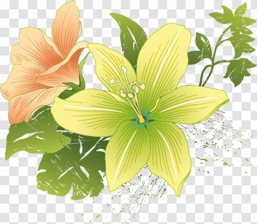 Flower Lilium Clip Art - Yellow - Balcony Transparent PNG
