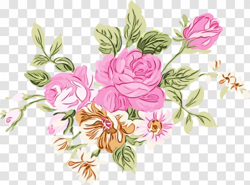 Cabbage Rose Garden Roses Flower Clip Art Illustration - Pink - Family Transparent PNG
