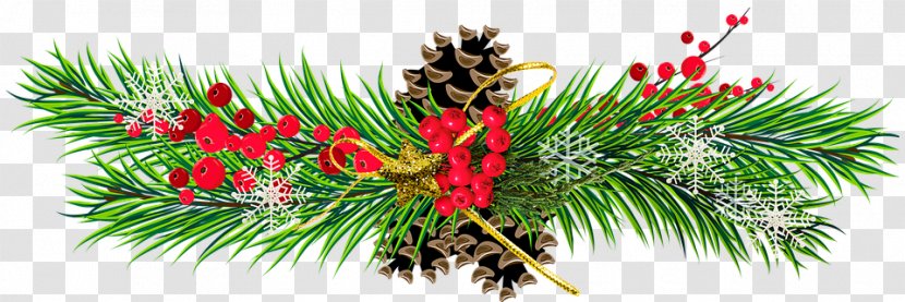 Clip Art Christmas Day Conifer Cone Pine - Cinnamon Sticks Transparent PNG