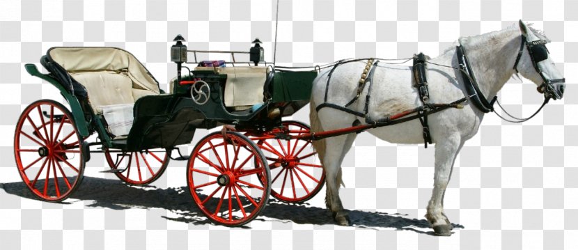 Horse And Buggy Carriage Horse-drawn Vehicle - Wagon Transparent PNG