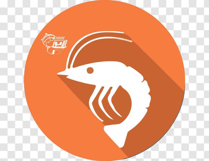 Zaid Alammor Kofta Shrimp And Prawn As Food Fish - Restaurant Transparent PNG
