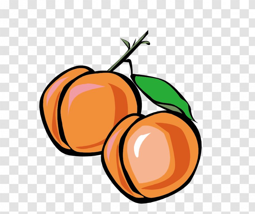 Peach Euclidean Vector Apricot - Cherry Transparent PNG