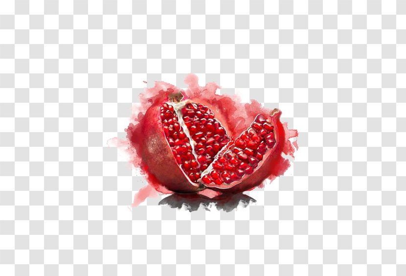 Pomegranate Watercolor Painting Fruit Vegetarian Cuisine Illustration - Botanical Transparent PNG