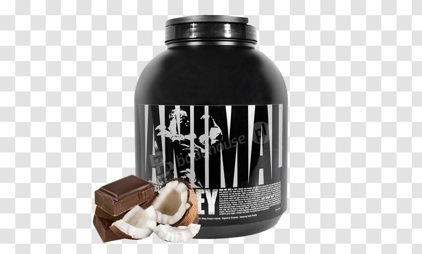 Dietary Supplement Whey Protein Isolate - Quality - Coconut Candy Transparent PNG