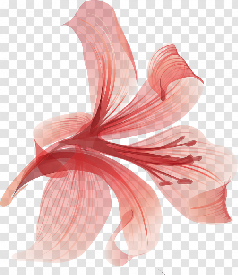 Lily Flower Transparent PNG