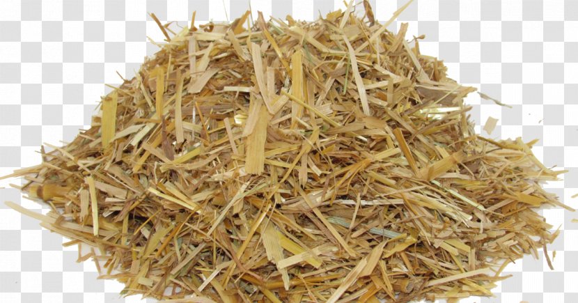 Straw Background - Baler - Perennial Plant Grass Transparent PNG