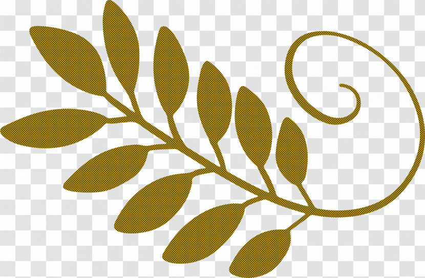 Floral Design Transparent PNG