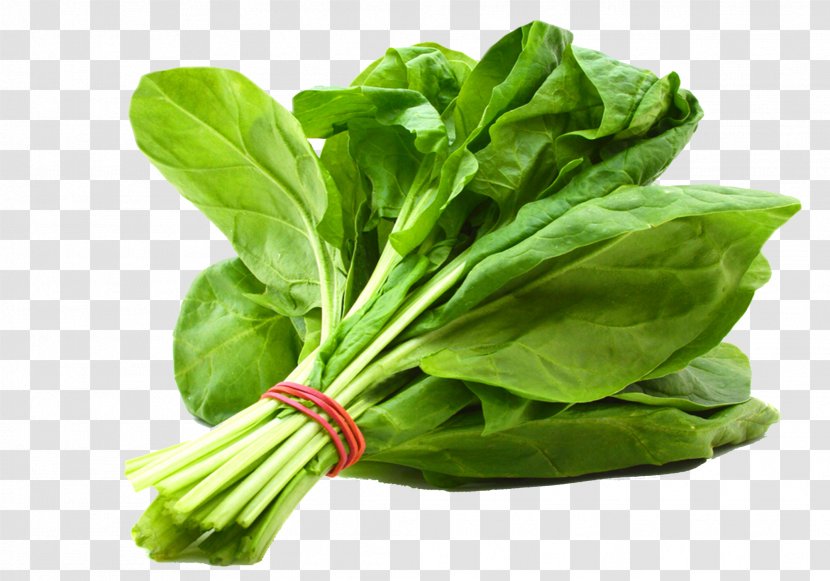 Veggie Burger Leaf Vegetable Salad Bell Pepper - Spinach Transparent PNG