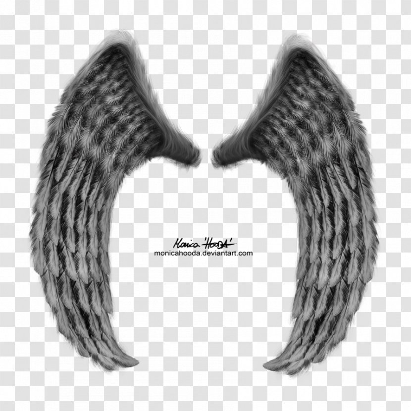 Fur Neck Font - Wings Transparent PNG