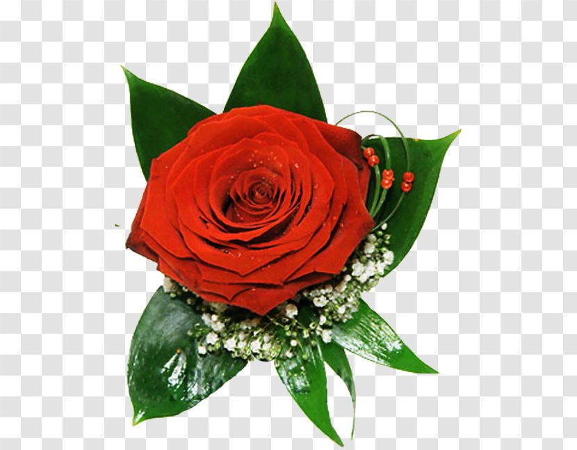 Garden Roses Flower Bouquet Holiday Greeting & Note Cards - Liveinternet Transparent PNG