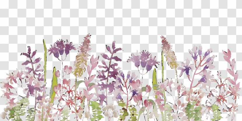 English Lavender French Grasses Plant Stem Plants - Flower Transparent PNG