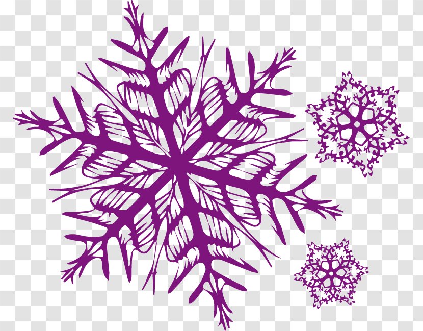 Petal Visual Arts Snowflake Pattern - Plant - Snow Wish Transparent PNG