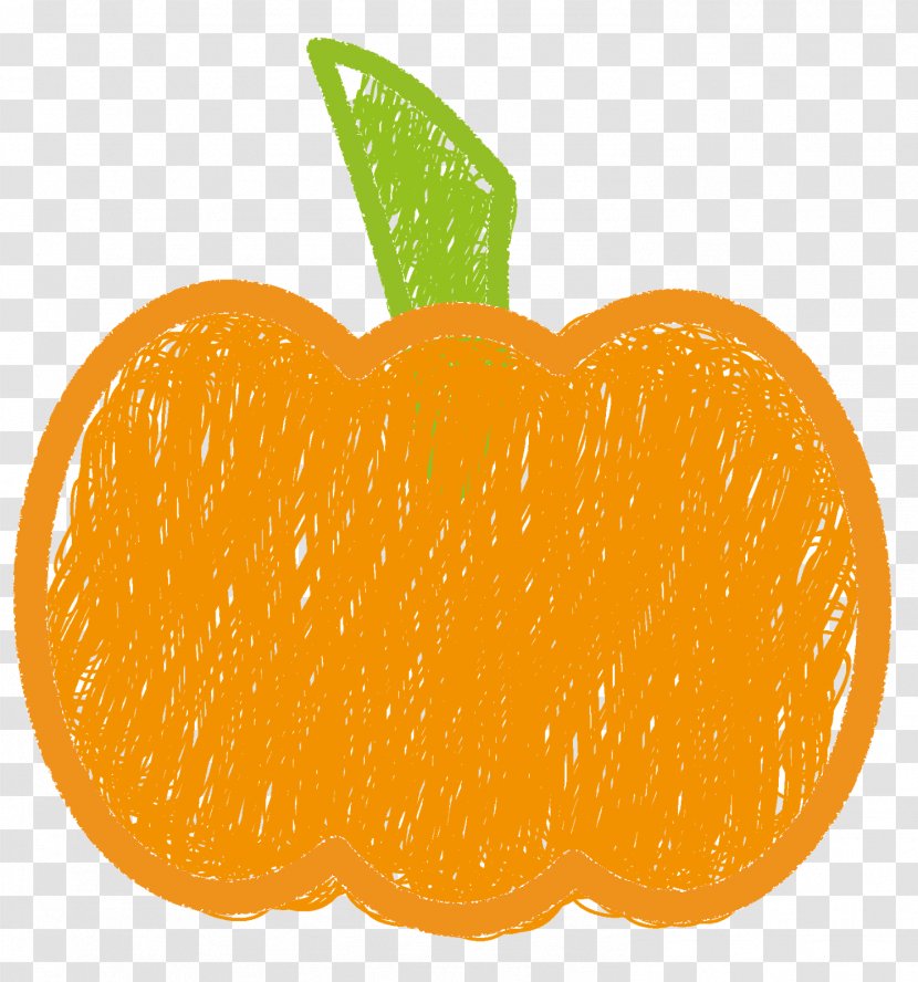 Clementine Mandarin Orange Tangerine Tangelo Transparent PNG