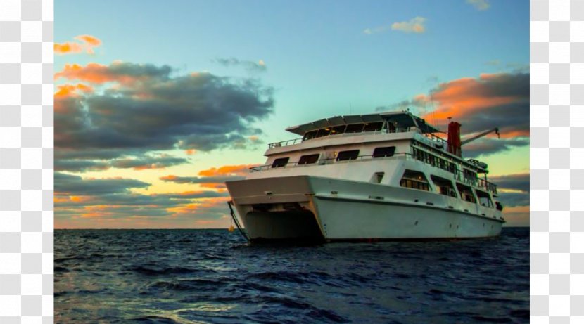 Great Barrier Reef Daintree Rainforest Cairns Dive Liveaboard Trip - Cruise Ship Transparent PNG