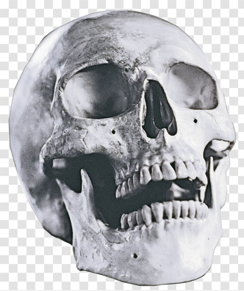 Face Skull Bone Head Jaw - Helmet - Rock Transparent PNG