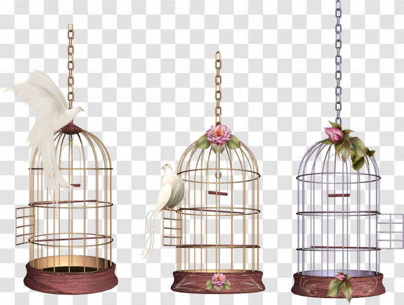 Cage Bird Clip Art - Cathedral Transparent PNG