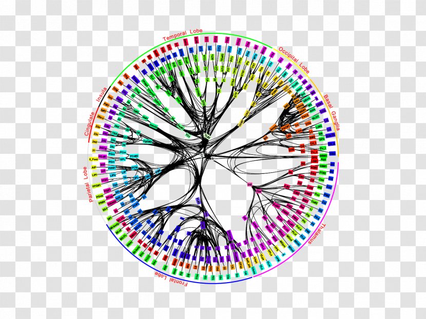 Synapse IBM Research - Neuromorphic Engineering - Almaden BrainBasal Transparent PNG