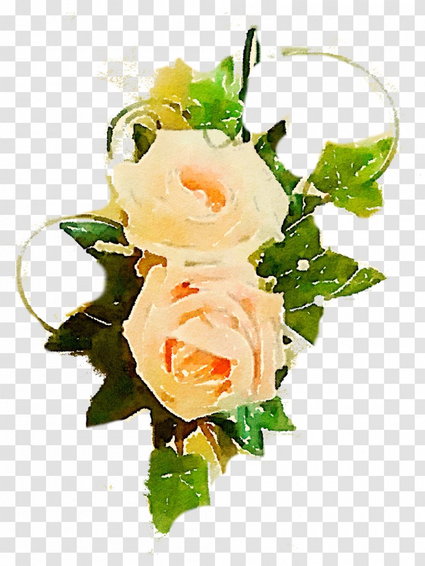 Flower Centifolia Roses Garden Clip Art - Rose Order - Peach Transparent PNG