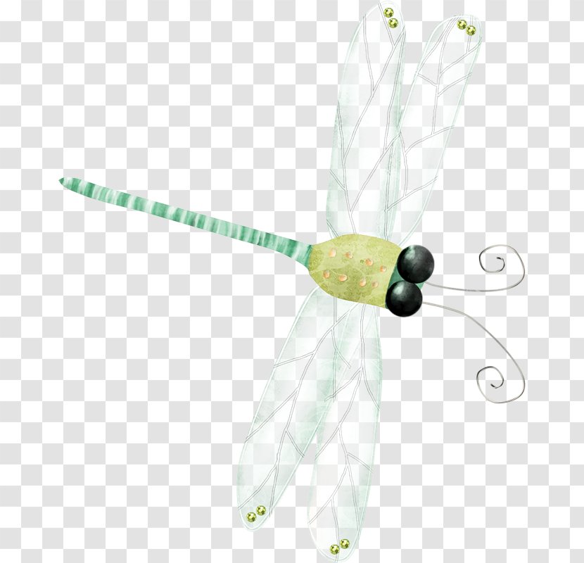 Dragonfly - Search Engine - Hand-painted Transparent PNG