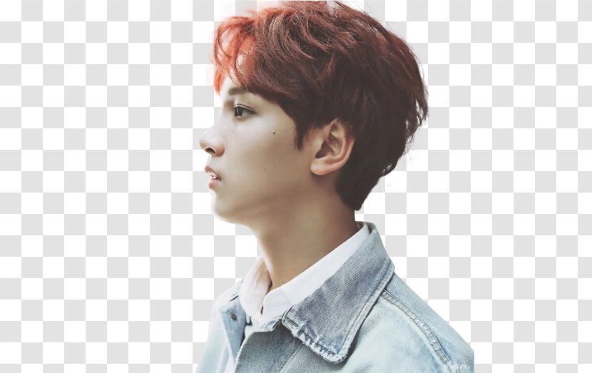 Hae Chan NCT 127 2018 Empathy SM Rookies - Flower - Heart Transparent PNG