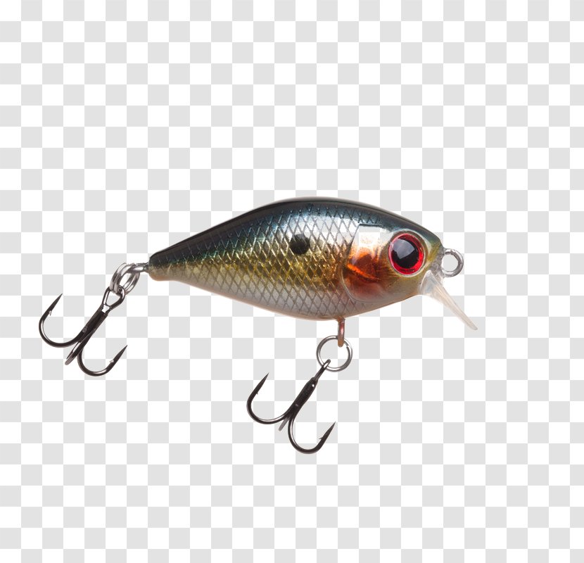 Spoon Lure Perch Fish AC Power Plugs And Sockets - Ac - Float Blisters Transparent PNG