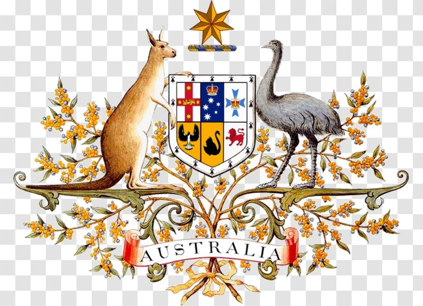 Coat Of Arms Australia National Symbols Emu - Government Transparent PNG