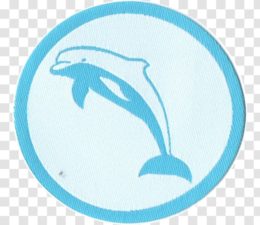Amazon River Dolphin Schwimmabzeichen Porpoise Cetacea - Fish Transparent PNG