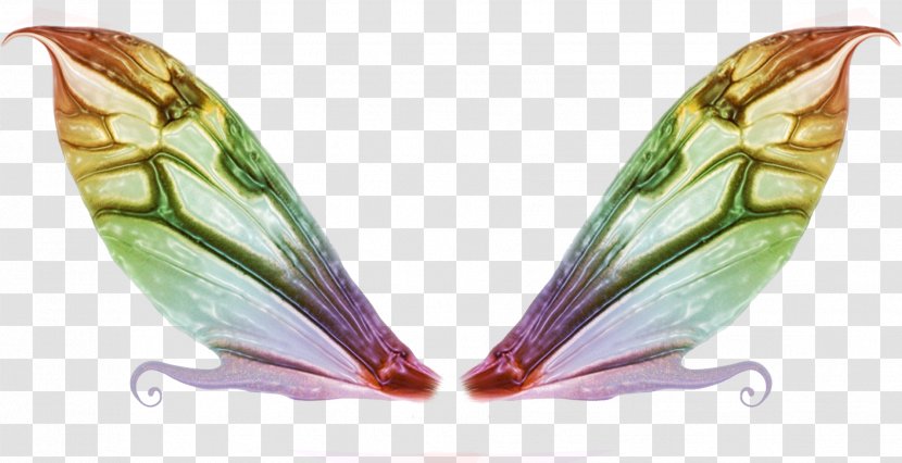 Fairy Image Clip Art Pattern Rainbow Magic - Information Transparent PNG