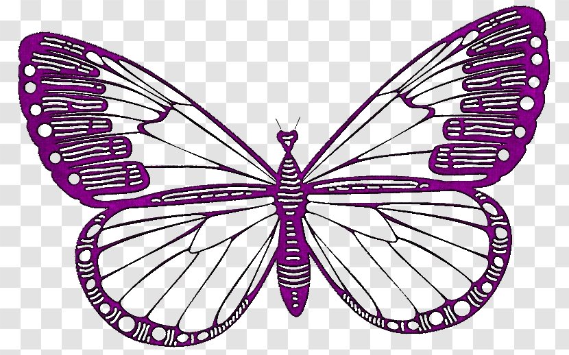France French Language United States Of America 0 German - Monarch Butterfly Transparent PNG
