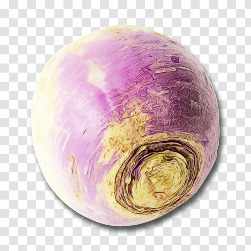 Violet Purple Vegetable Rutabaga Plant - Cabbage Transparent PNG