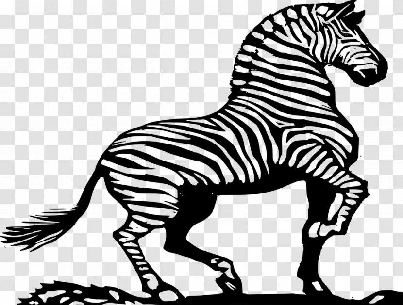 Horse Zebra Drawing Clip Art - Mustang - Cartoon Transparent PNG