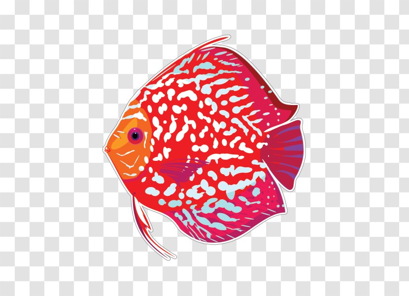 Tropical Fish Aquarium Red Discus Paper - Pink Transparent PNG
