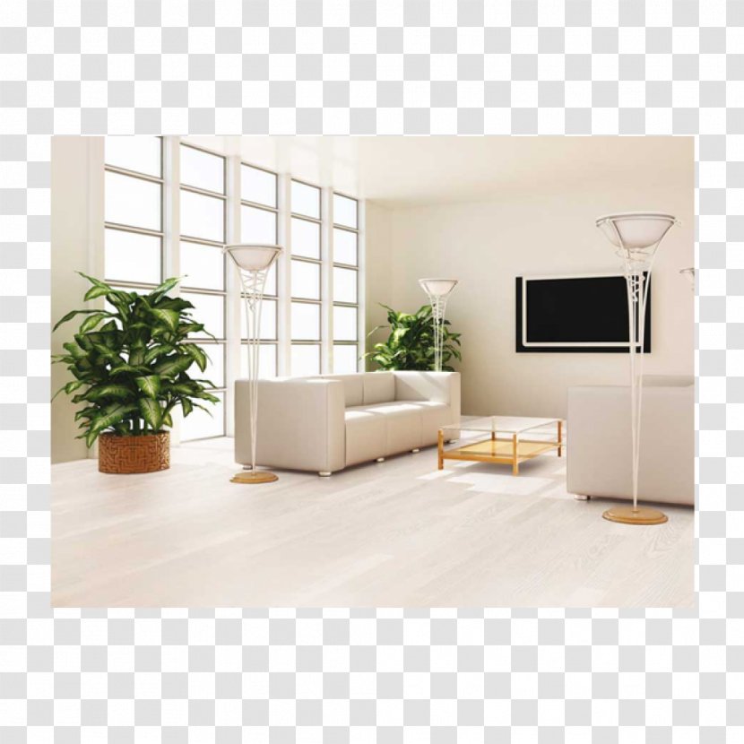 Living Room Feng Shui Plant Drawing Bedroom - Couch - Floor Transparent PNG