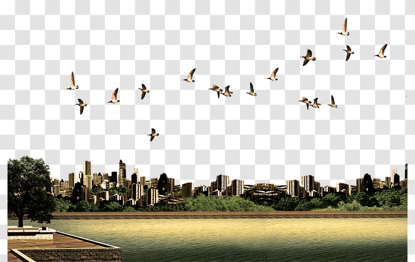 Real Estate Property Computer File - Advertising - Lake Ad Elements Transparent PNG
