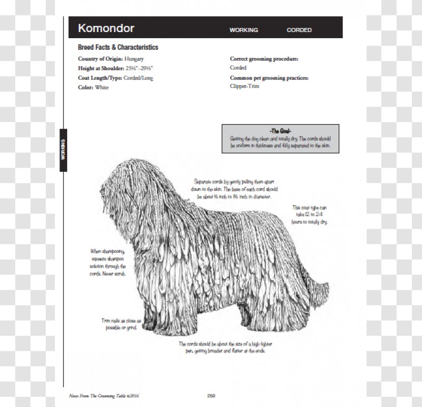 Glen The Notes Pocket Pal: From Grooming Table ; An All-breed Guide For Professional Pet Stylist Dog Schnauzer - Melissa Verplank - Belt Massage Transparent PNG