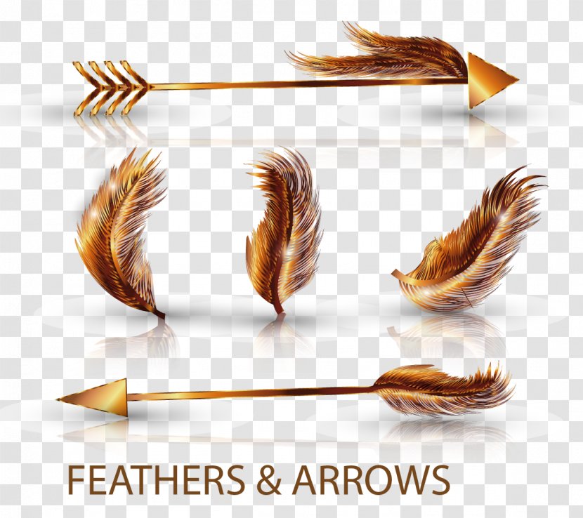 Feather Euclidean Vector Arrow - Template Transparent PNG
