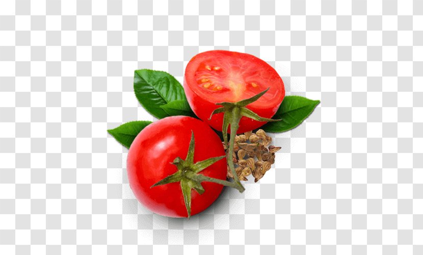 Bush Tomato Sodebo SA Food Antioxidant - Malpighia Transparent PNG