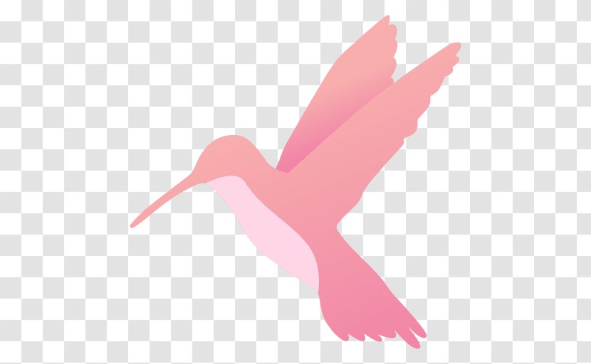 Hummingbird - Ibis - Bird Transparent PNG