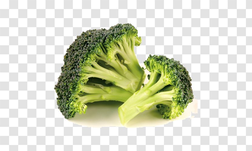 Broccoli Nutrition Cabbage Nutrient Vegetable - Food Transparent PNG