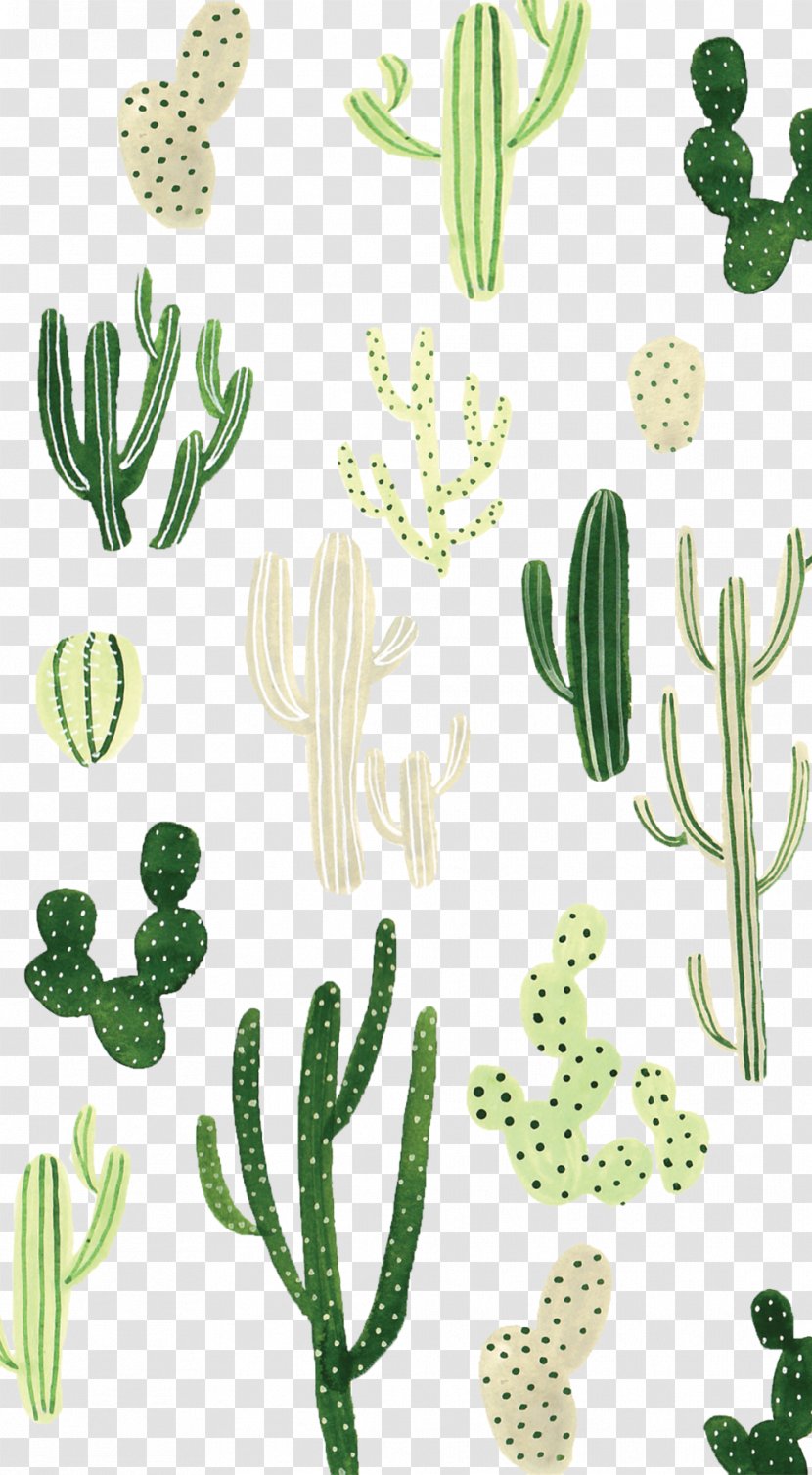 Desktop Wallpaper Cactaceae IPhone - Seed Plant - Watercolor Cactus Transparent PNG