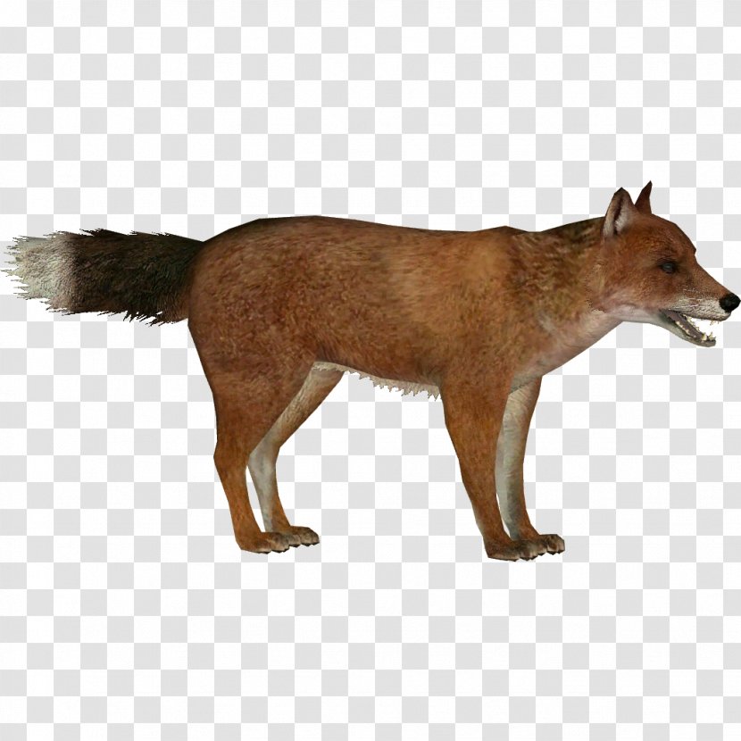 Red Fox Zoo Tycoon 2: Extinct Animals Falkland Islands Wolf Dhole Extinction Transparent PNG