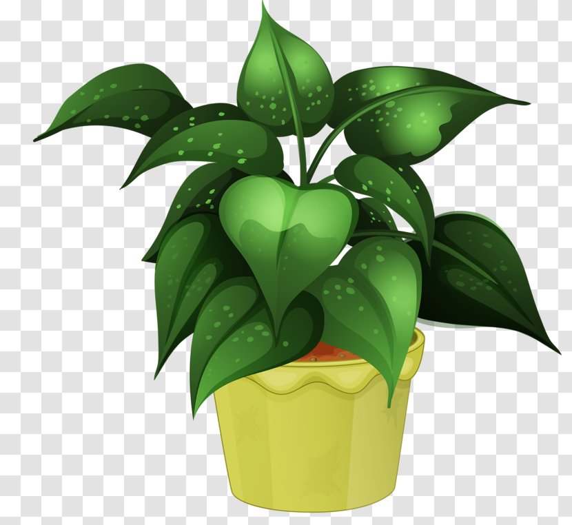 Houseplant Flower Cultivo - Tree - Pot Transparent PNG