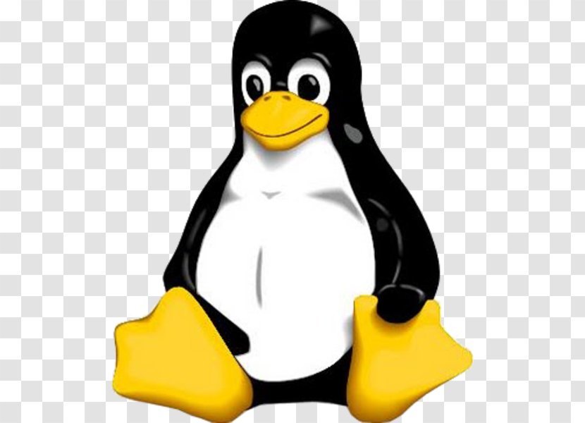 Linux Kernel Tux Clip Art - Logo Transparent PNG