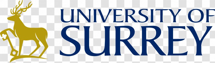 University Of Surrey Edinburgh Leicester Kansas - Text - City Life Transparent PNG
