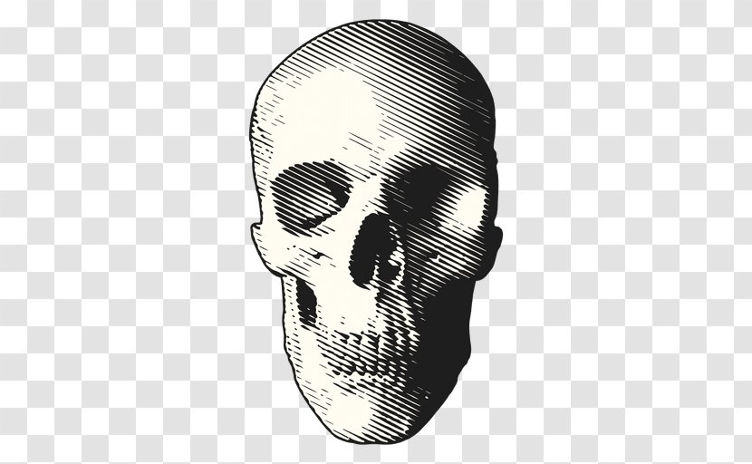 Death Day Of The Dead Skull Clip Art - Human Transparent PNG