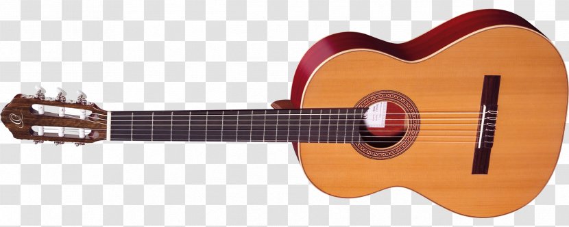 Acoustic-electric Guitar Musical Instruments String Tiple - Neck - Amancio Ortega Transparent PNG