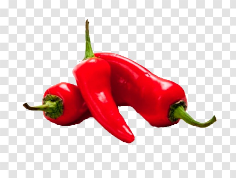Chili Pepper Pimiento Tabasco Bell Peppers And Malagueta - Serrano - Plant Vegetable Transparent PNG