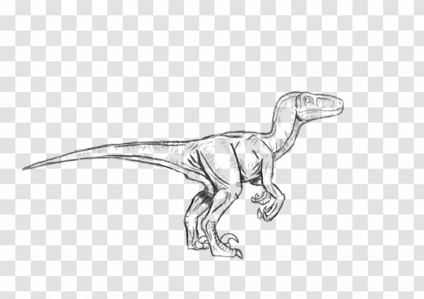 Velociraptor Troodon Tyrannosaurus Dilophosaurus Dinosaur Transparent PNG