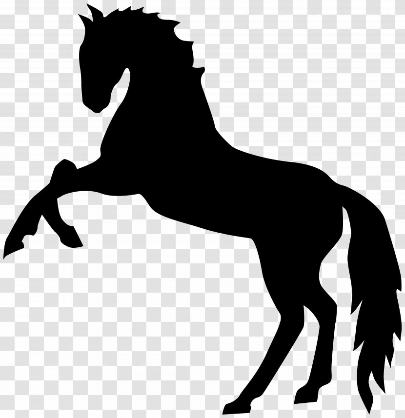 Mustang Stallion Clip Art - Monochrome Photography - Standing Horse Silhouette Transparent Image Transparent PNG